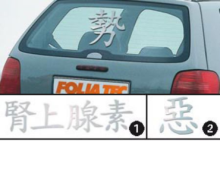 Foliatec  SIGN Tattoo Chinese Style LARGE SIZE 