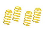 Weitec springs 35/35mm BMW E36 316i/318ti Compact