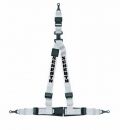 Schroth White Tiger Rallye 3 left (Driver side) with black shoul