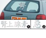 Foliatec  SIGN Tattoo Chinese Style LARGE SIZE 