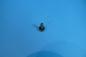 Preview: Tapping screw 4.2x13 BMW 3 series 5 series 7 series X3 X5 X6