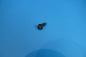 Preview: Tapping screw 4.2x13 BMW 3 series 5 series 7 series X3 X5 X6
