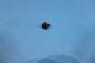 Preview: Fillister head self-tapping screw ST4,2x13-Z2 BMW 3er 5er 6er 7er 8er X5