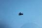 Preview: Screw with washer PT4x12 BMW E36 E38 E39 E53 E83 F01 F02 F04 F06 F07 F10 F12 F13 X3 X5 Mini F55 F56 R52 R53 R55 R56 R57 R58 R59