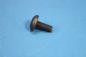 Preview: Schraube Innentorx M8x20 BMW E60 E61 E63 E64 E65 E66 E70 E71 E81 E82 E83 E84 E85 E86 E87 E88 E89 E90 E91 E92 E93 F01 F02 F10 F11 F15 F16 F20 F21 F22 F23 F25 F26 F31 F32 F33 F34 F36