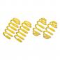 Preview: ST springs 30/30mm fit for BMW 1er 2er F20 F21 F22 F23 F87