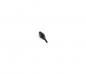 Preview: Rubber buffer for dashboard covering for BMW E12 E21 E23 E24 E28 E30 E32 E34 E36 Z3