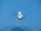 Preview: 10 pcs. Clip Natur for door panels for Opel Daewoo Astra Corsa Tigra Vectra Zafira