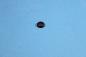 Preview: Cap black BMW E31 E32 E34 E36 E38 E39 E46 E53 E60 E61 E63 E64 E65 E66 E67 E68 E85 E86 X5 Z3 Z4