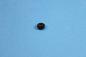 Preview: Cap black BMW E31 E32 E34 E36 E38 E39 E46 E53 E60 E61 E63 E64 E65 E66 E67 E68 E85 E86 X5 Z3 Z4
