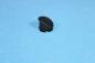 Preview: Plug for inner door handle RIGHT BLACK for BMW E87 / E92 / E93