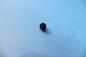 Preview: Bulb 12V 1,2W instrument lighting etc. BMW E23 E24 E28 E30 E32 E34