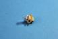 Preview: Bulb 1,5W 12V BMW BMW E31 E32 E34 E36 E38 E39 E53 Z3