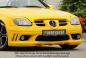 Preview: RIEGER Spoilerstoßstange passend für Mercedes SLK R170 Bj. 09.96 - 12.00 + ab 01.01- (Rippen offen/ohne SWR)