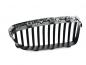 Preview: BMW Ziergitter LINKS BMW 5er F10 / F11 Limousine / Touing