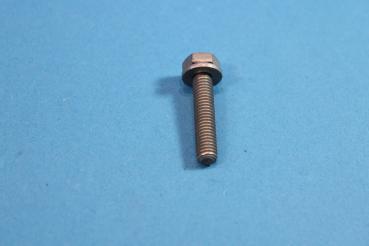 Hex bolt with washer M6X30-ZNNIV SI BMW 1er 3er 5er 6er 7er 8er X1 X3 X5 X6 Z1 Z3 Z8 MINI
