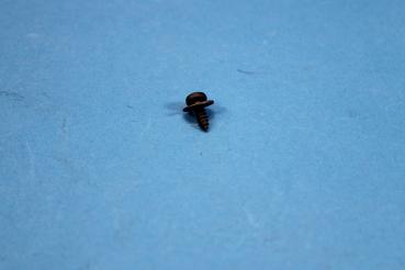 Fillister head self-tapping screw ST4,2x13-Z2 BMW 3er 5er 6er 7er 8er X5