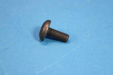 Schraube Innentorx M8x20 BMW E60 E61 E63 E64 E65 E66 E70 E71 E81 E82 E83 E84 E85 E86 E87 E88 E89 E90 E91 E92 E93 F01 F02 F10 F11 F15 F16 F20 F21 F22 F23 F25 F26 F31 F32 F33 F34 F36