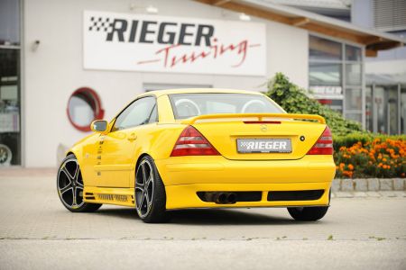RIEGER rear wing fit for Mercedes SLK R170