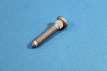 Knurled bolt BMW 7er E65 / E66 / E67