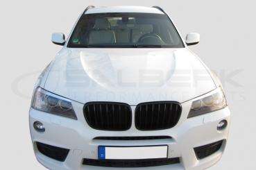Shadow-Line Niere glänzend schwarz passend für BMW X3 F25 VFL