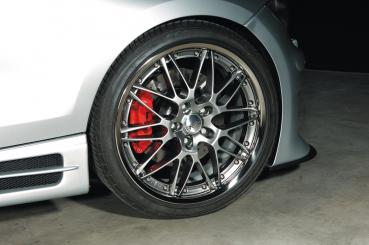 RIEGER Seitenschweller mit Schacht und 2 Ausschnitten RECHTS passend für BMW 1er E87