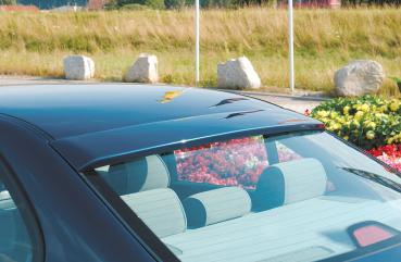 RIEGER Heckscheibenblende passend für BMW 5er E39 Limousine