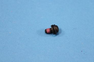 Torxschraube mit Scheibe ISA M5x10 BMW E36 E38 E39 E52 E53