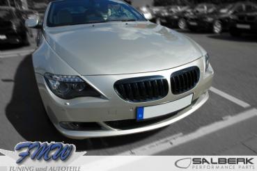 Shadow-Line Niere glänzend schwarz passend für BMW 6er E63/E64