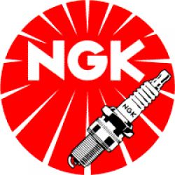 NGK Zündkerze V-Line 36 BKR5EZ passend für Fiat / Lancia / Peugeot / Renault