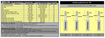 LOWTEC 60/40mm Sportfahrwerk passend für BMW 5er E34 Limousine 518-525i (Stift 2)