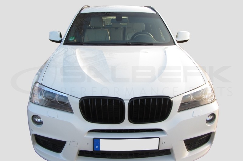 Carbon Grill Nieren BMW 1er F20 F21 - JH Parts