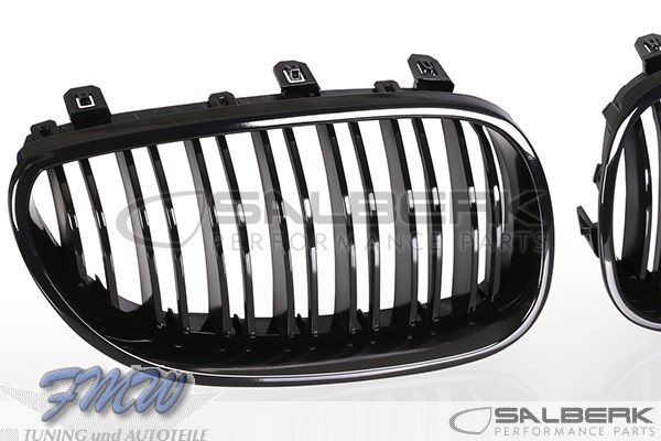 Carbon Grill Nieren BMW M5 F10 - JH Parts