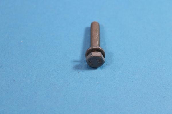 Hex bolt with washer M6X30-ZNNIV SI BMW 1er 3er 5er 6er 7er 8er X1 X3 X5 X6 Z1 Z3 Z8 MINI
