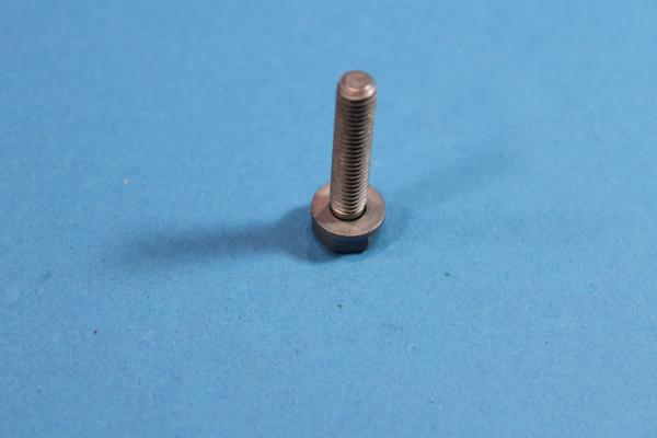 Hex bolt with washer M6X30-ZNNIV SI BMW 1er 3er 5er 6er 7er 8er X1 X3 X5 X6 Z1 Z3 Z8 MINI