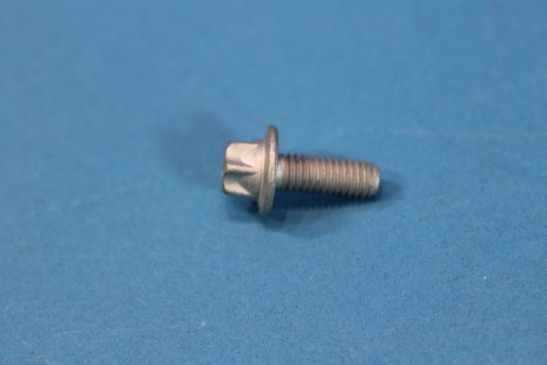 Torx screw with washer M6x16-8.8-ZNNIV BMW 1er 2er 3er 4er 5er 6er 7er 8er X3 X4 X5 X6 Z4