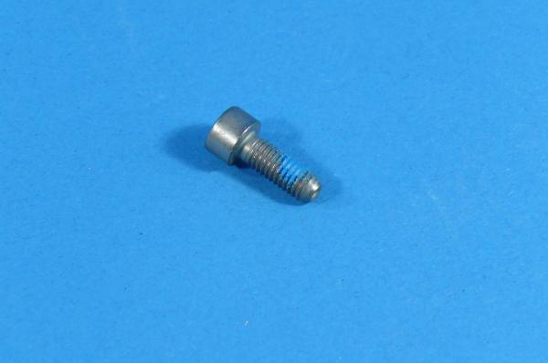 Zylinderschraube M6X16ZNNIV SI BMW 1er 3er 5er 6er 7er 8er X1 X3 X5 Z3 Z4 Z8