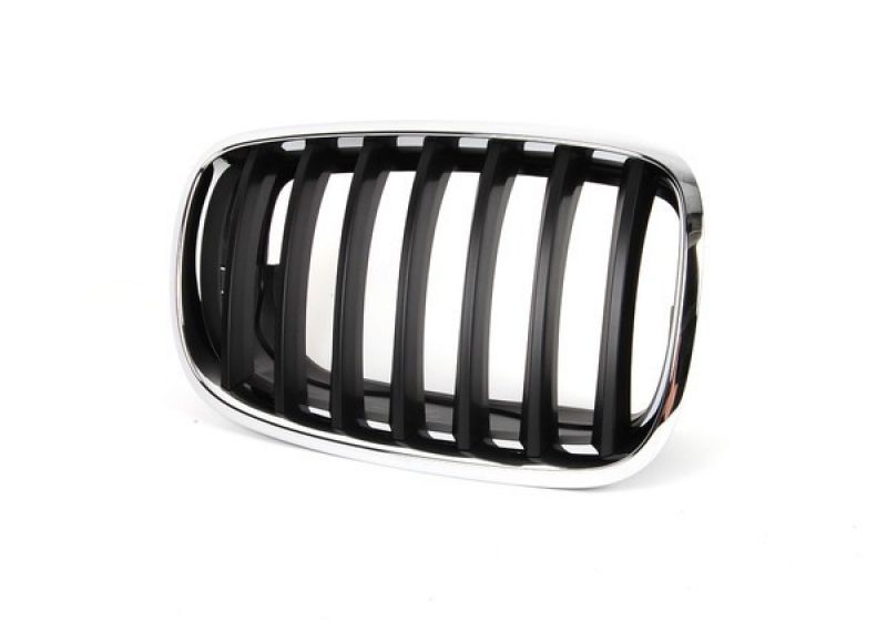 Niere links BMW X5 E70/ X6 E71