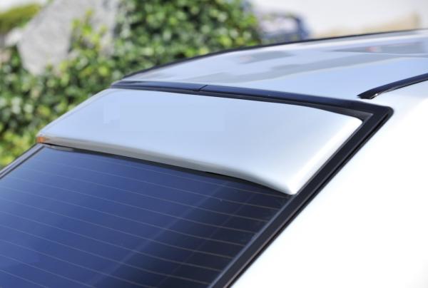 RIEGER Rear Window Cover fit for Mercedes 201