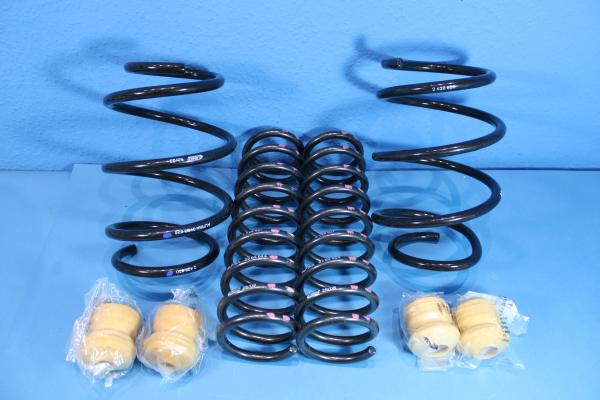 ALPINA Suspension Springs fit for BMW 5er E39 520i-530d Sedan