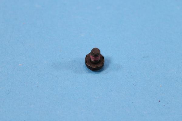 Torxschraube mit Scheibe ISA M5x10 BMW E36 E38 E39 E52 E53