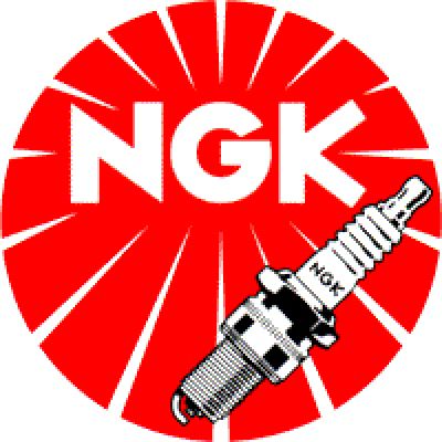NGK Zündkerze V-Line 36 BKR5EZ passend für Fiat / Lancia / Peugeot / Renault