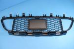 Insert, air intake, center (M-Technic) BMW F30 / F31 (with ACC)