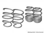 LOWTEC springs 60/40mm fit for BMW 5er E34 Sedan 518-525
